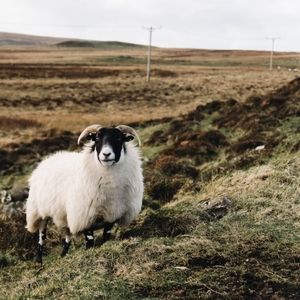 Meet your Posher, Earl